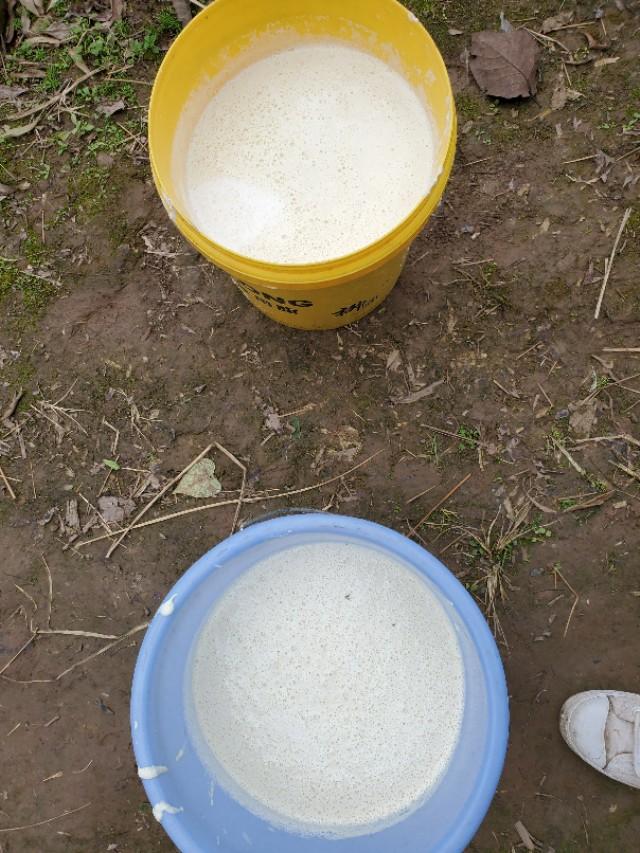 用豆腐自制豆腐干，手工豆腐干的制作流程（用白豆腐做五香卤豆干）