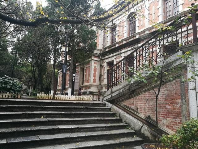 昆明海鸥最佳观赏地，去海埂大坝看海鸥前