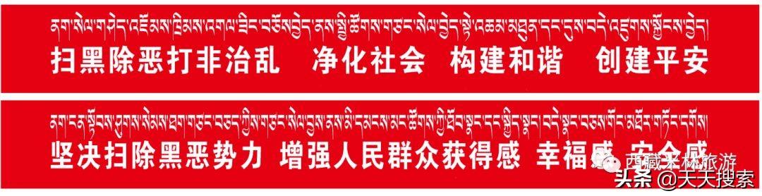 姬松茸十种吃法，林芝松茸的一万种