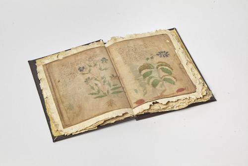 世界上最深奥的书排名，世界公认的10本书