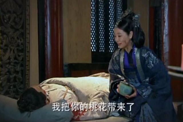 倾世皇妃中刘连城第几集当皇帝，倾世皇妃刘连城死后