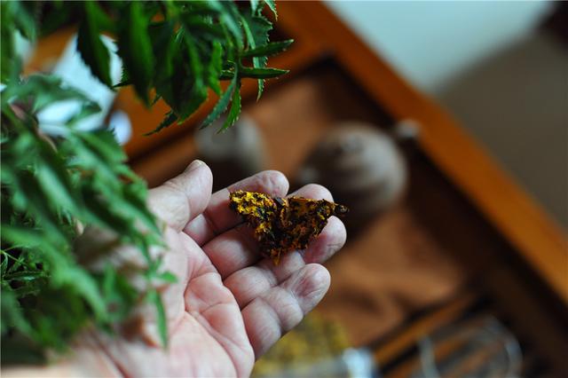 藏一片纯净多一份健康，真正的昆仑雪菊啥子样