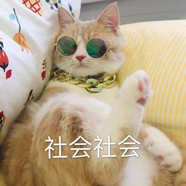 刘叉叉教琦琦社会摇，一个牌牌琦倒下