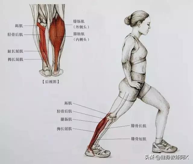 防止小腿变肌肉腿的拉伸动作，跑后7大拉伸动作