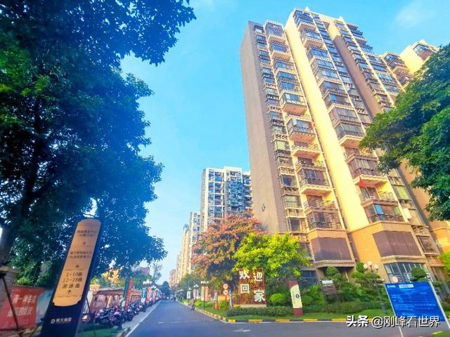 海南省花叫什么花，海南省花——三角梅