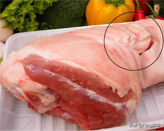 猪肘子前肘好还是后肘好，肘子买前肘还是后肘