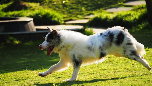 奥林巴斯em1，奥林巴斯em1mark3测评