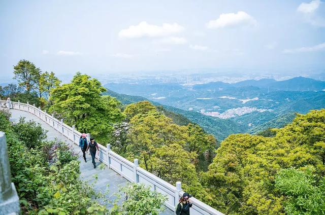 深圳十大山风景区，推荐10个非常值得一去的登山打卡点