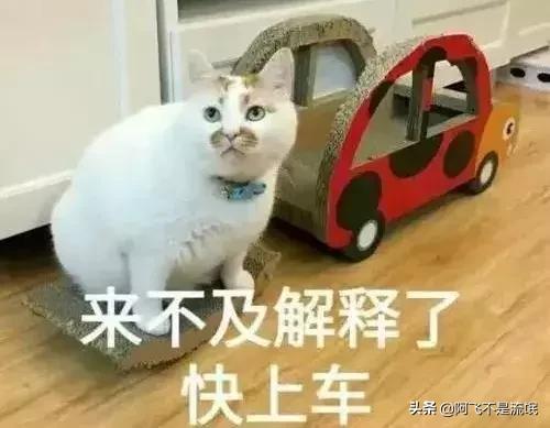 湛江民间习俗游神穿令是怎么回事，湛江年例神秘习俗