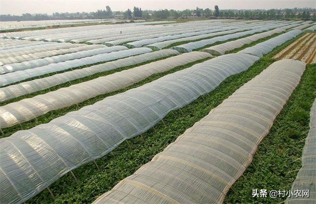 回乡创业的人士有哪些，回乡创业的人越来越多