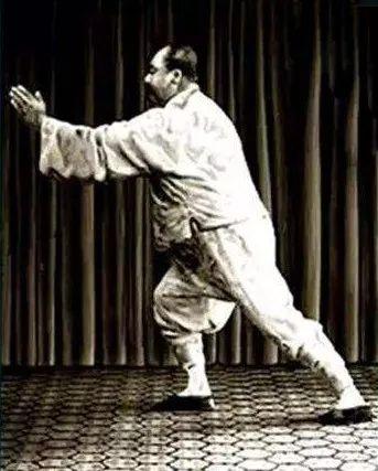 太极虎真实力量，豹虎非抱虎