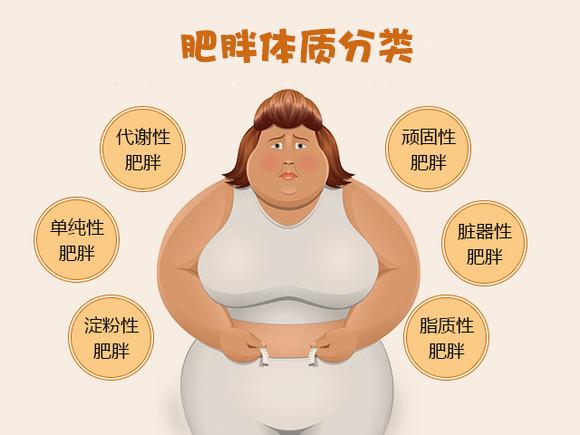肥胖均值(肥胖指数标准值区间)