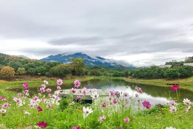 罗浮山风景区一日游攻略，岭南第一山罗浮山爬山记