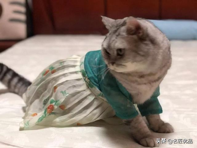 了解一下汉服制作过程，做外贸，一些好用的软件推荐