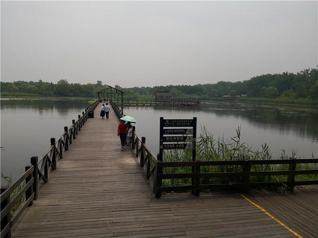 泰州溱湖湿地公园，江苏溱湖国家湿地公园（泰州溱湖国家湿地公园）