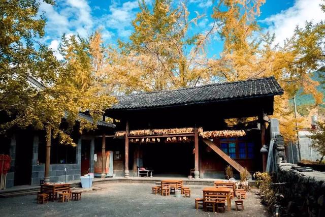 十一假期出游可畅玩银杏湖乐园，湖光山色风景迷人