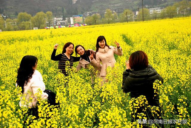 济源五一旅游景点推荐，五一去哪玩济源这几条精品旅游线路任你选