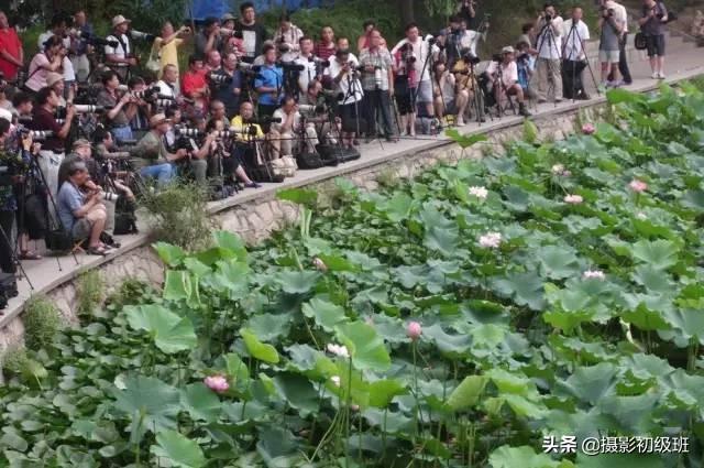 饱和度是什么意思，摄影中饱和度什么意思