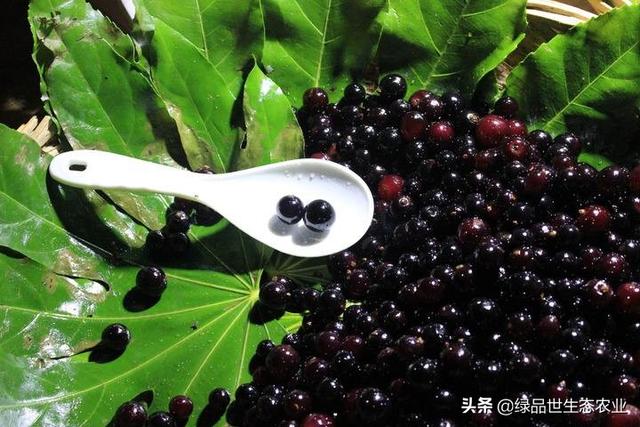 东南亚十大网红水果，如果你也想飞去泰国吃水果大餐