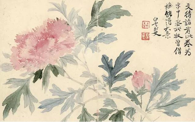 牡丹鉴赏实力画家笔下的牡丹风华，实力画家笔下的牡丹风华