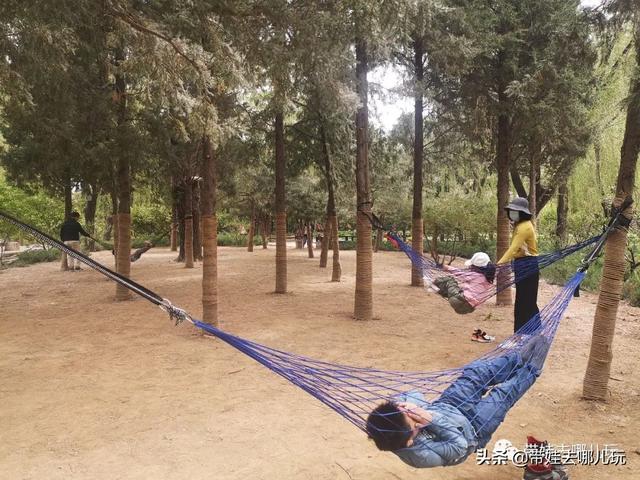 南宫旅游十大必去景点，假日乡村打卡丨夏日来南宫看民族主题花车巡游