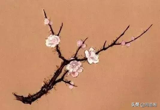 简单国画梅花，怎么样用圈点结合画法画梅花