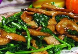 食谱大全及做法炒菜家常菜做法，菜谱大全100道家常菜清单