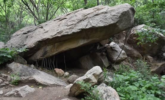 龙潭国家森林公园，龙潭国家森林公园有什么好玩