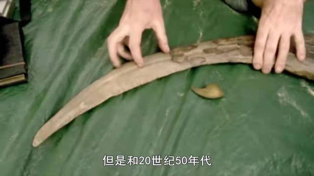 超逼真的恐龙纪录片，4部最值得看的超高分恐龙纪录片