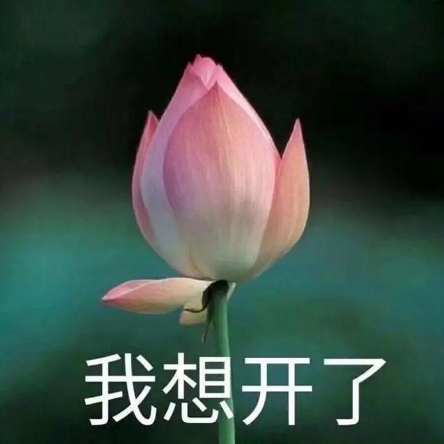 表示欢迎的表情包，中老年人专用表情包欢迎（表情包：恭贺大家，喜迎周末）