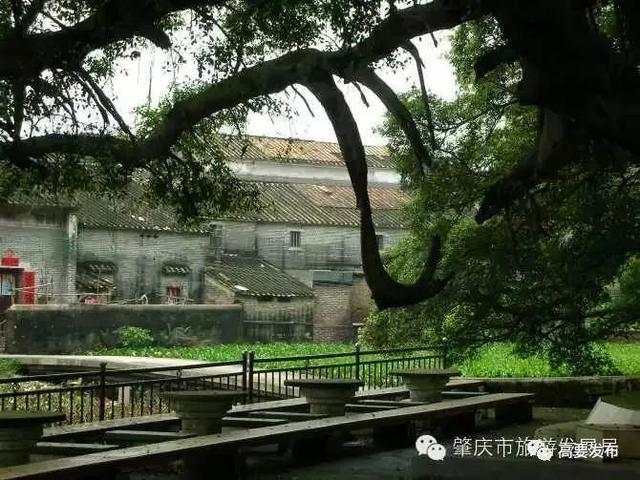 肇庆古村落排行，杨池古村是一座值得一游的古村落,出游时不妨选择