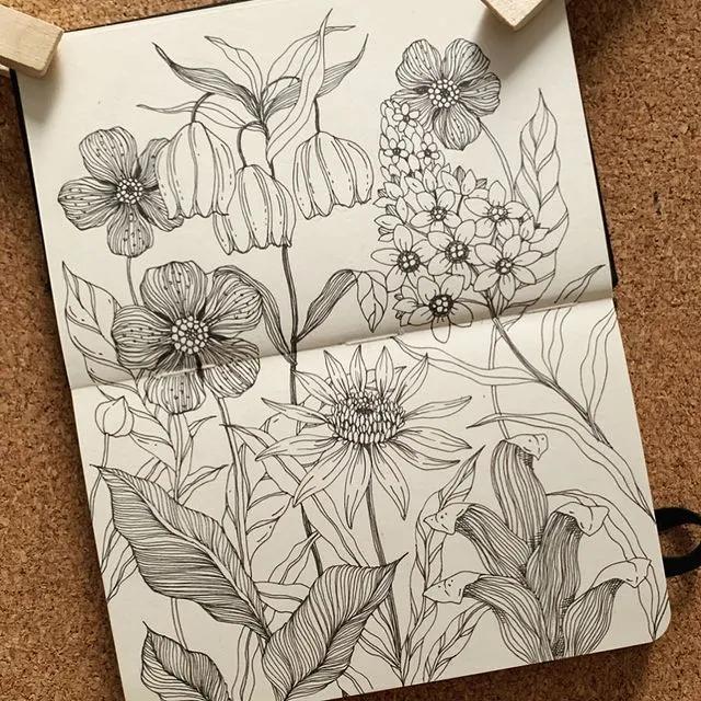 妙笔生花水墨画教程，教科书级别的植物线描