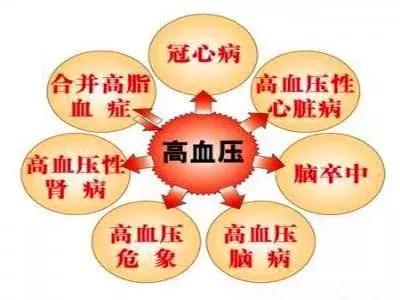 肥胖血压153 91(肥胖血压140/90怎么办)