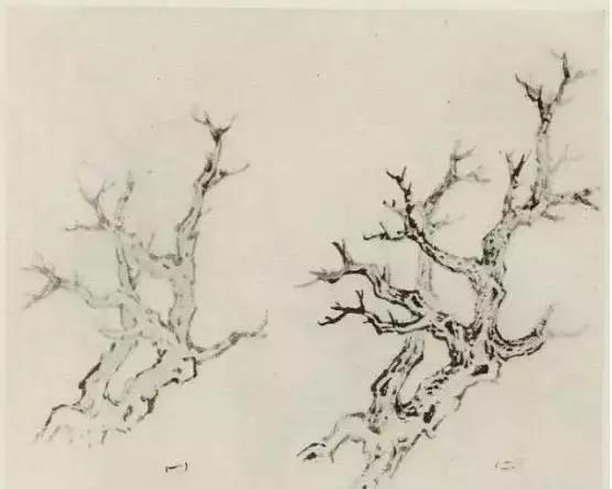 树怎么画简单又好看，如何画树简单又漂亮（水彩唯美风景画，手把手教你画）
