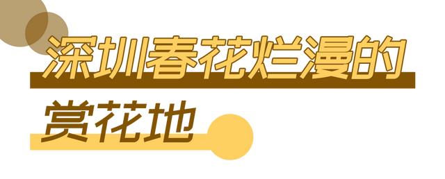 深圳游玩攻略必去的地方免费，7个遛娃好去处全免费