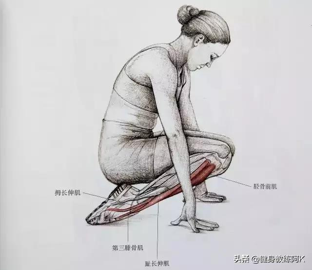 防止小腿变肌肉腿的拉伸动作，跑后7大拉伸动作