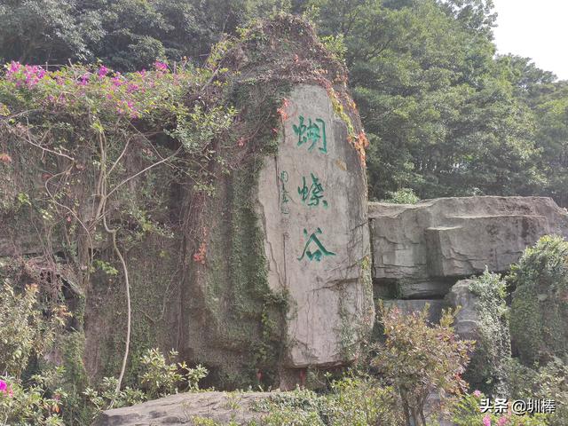 深圳梧桐山最快登山路线，深圳十峰爬山计划开始