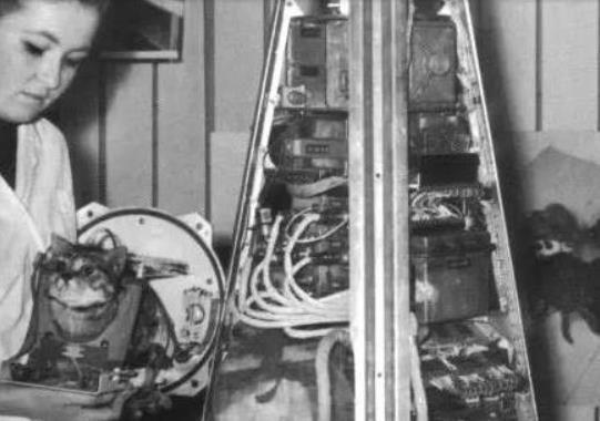 龟壳，龟壳知识大全集