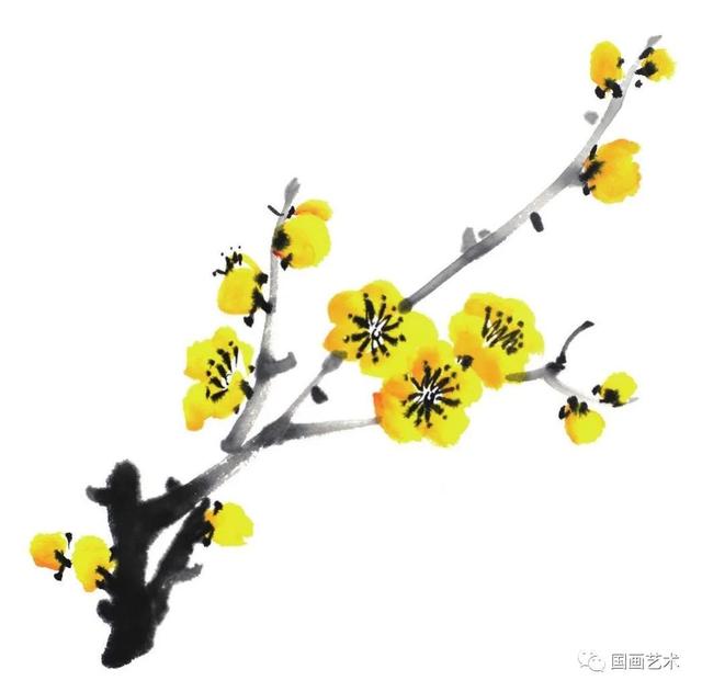 王成喜写意梅花的画法教程，图文教程白梅红梅