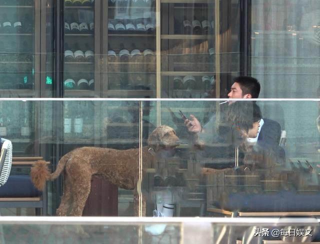 霍思燕有二胎女儿，杜江和霍思燕现在怎样