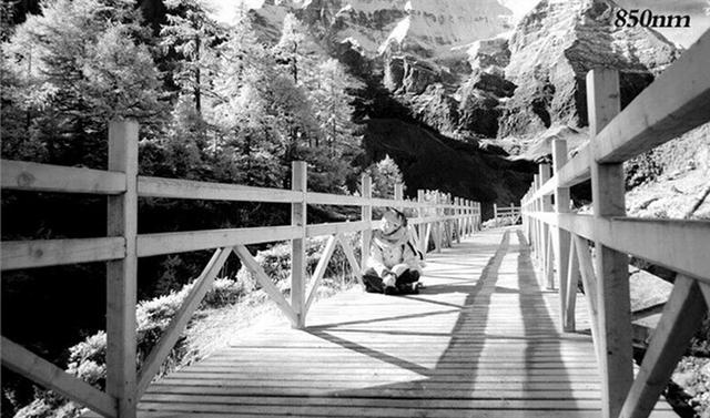红外是怎么成像的，红外摄影入门全攻略