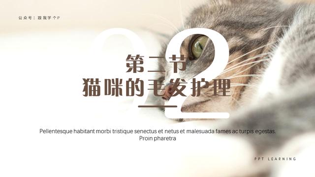 ppt加入蒙版，绎奇带你轻松