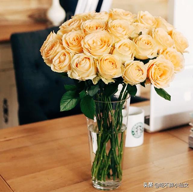 黄色玫瑰叫什么是香槟玫瑰吗，你知道它们代表着不同的花语吗
