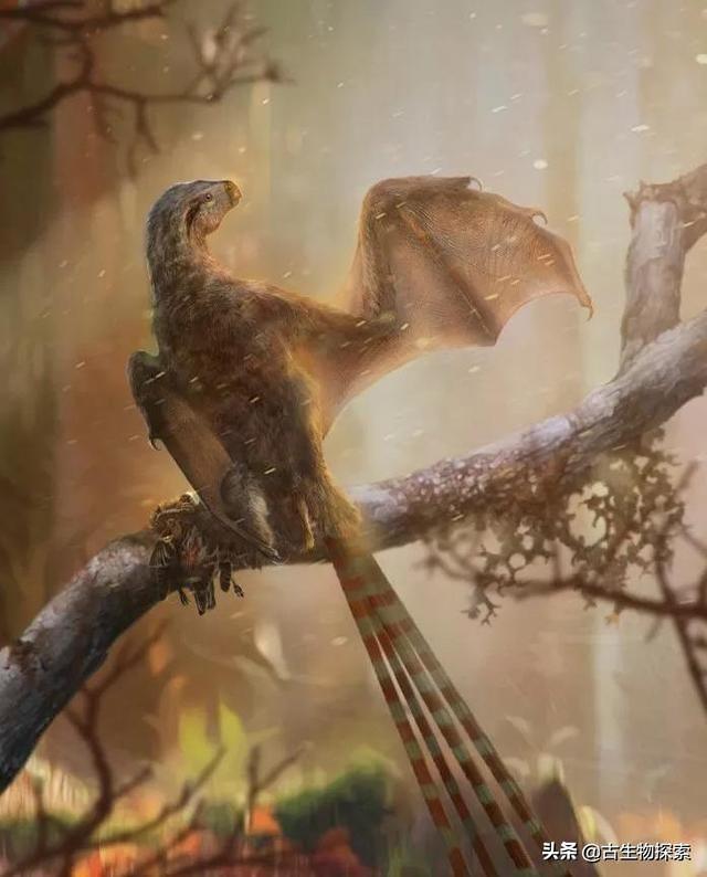 恐龙种类中脖子最长的腕龙，长颈巨龙的杰出代表