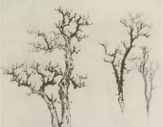 树怎么画简单又好看，如何画树简单又漂亮（水彩唯美风景画，手把手教你画）