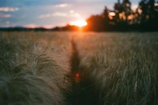 世界最伟大的西方哲学，50位西方哲学家的核心思想