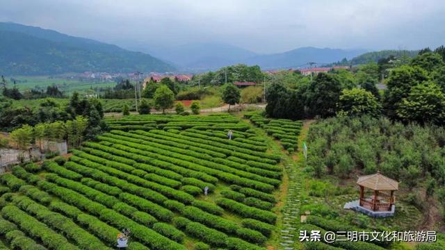 这份旅行攻略让你爱上不一样的三明，三明必去旅游景点推荐一下