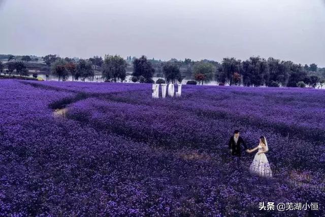芜湖旅游攻略景点必去推荐，就去芜湖这些景美人少的地方过
