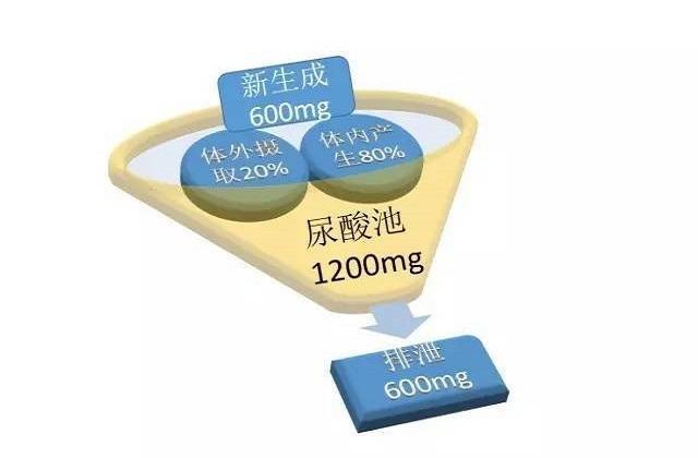 高尿酸痛风能吃木耳，尿酸高痛风的人能不能吃黑木耳和洋葱