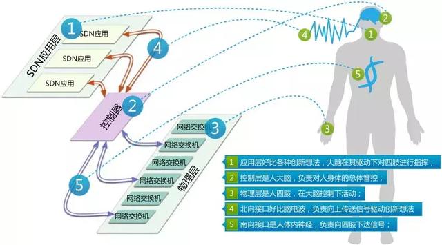 sdn网络与传统网络区别，<软件定义网络>初体验----Mininet